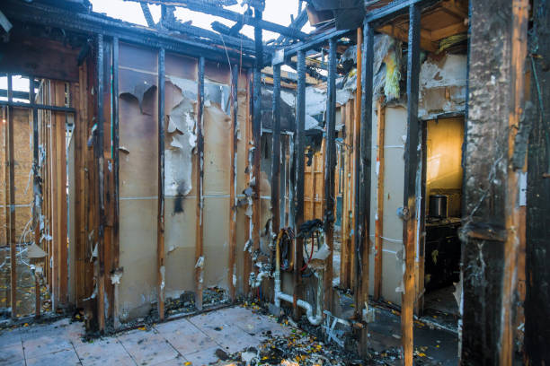 Professional Smoke Damage Removal technician working in Center City, MN